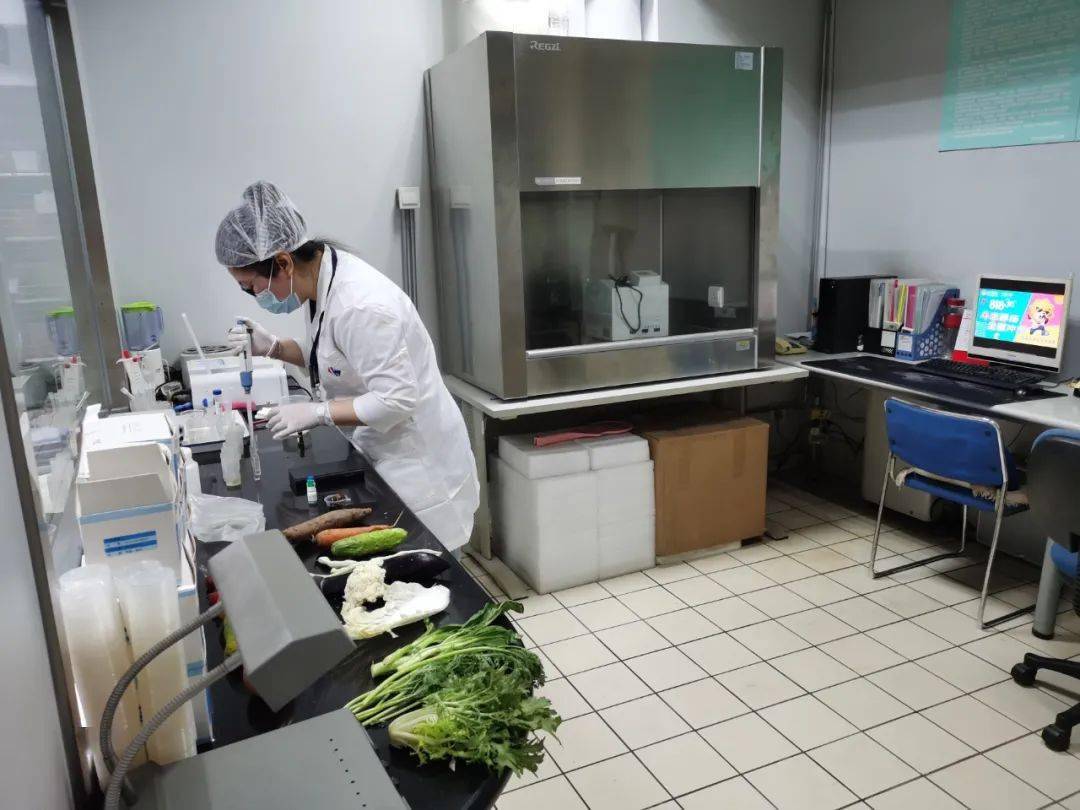 中和镇食品检测实验室装修方案
